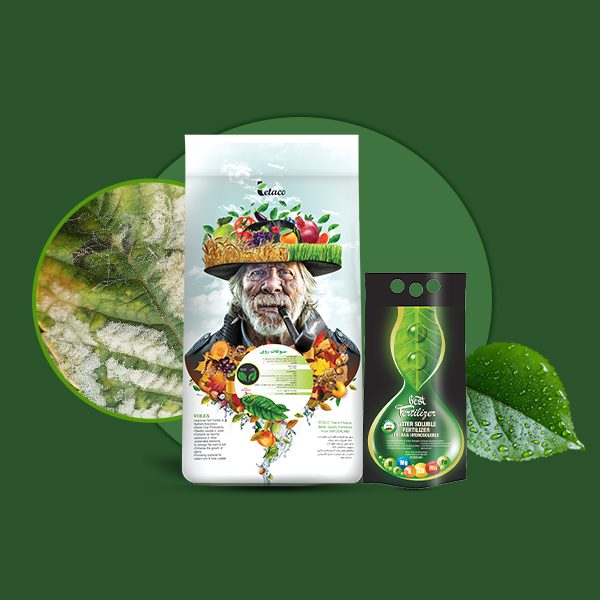 سولفات روی