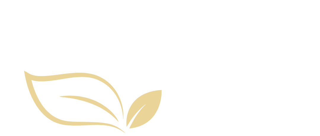 تهران تجارت